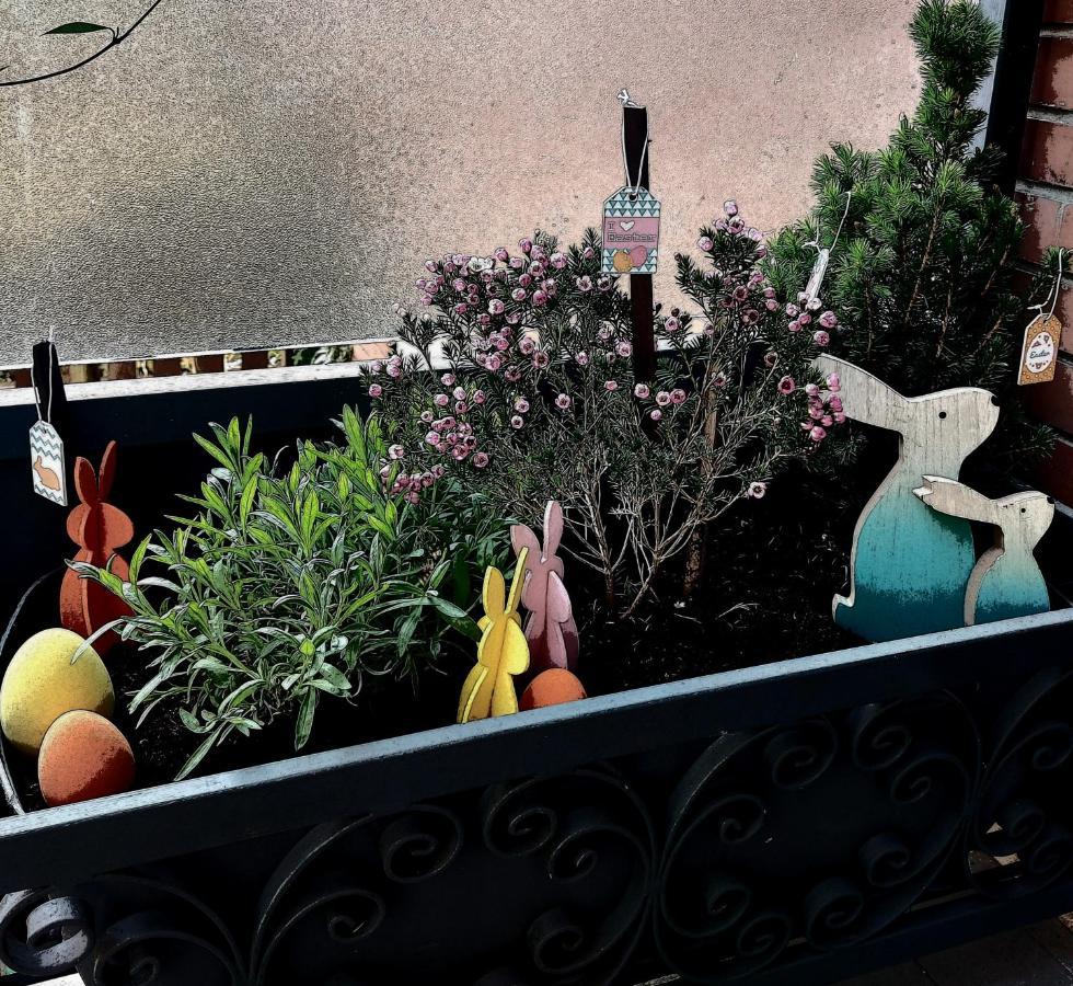 A Casa Di Gemma Hotel โบโลญญา ภายนอก รูปภาพ